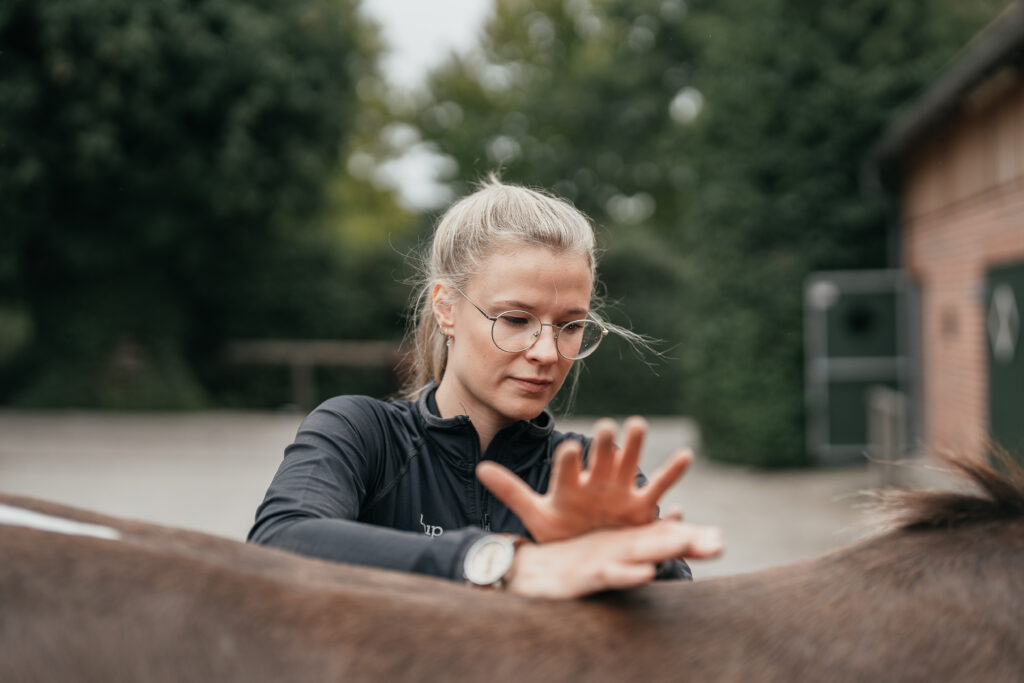 Individuelle Pferde Osteopathie in Münster – Leonie bei der Behandlung